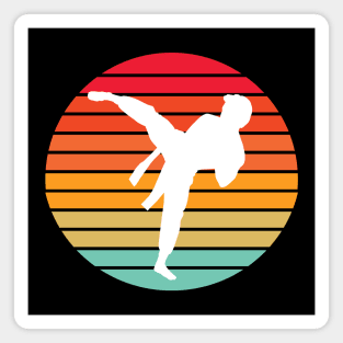 Karate Art Retro Magnet